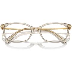 SWAROVSKI 0SK2017 Ladies Eyewear, Trasparent Beige (3003), Size: 52