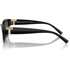 TIFFANY 0TF4225U Ladies Eyewear, Black (8001S4), Size: 54