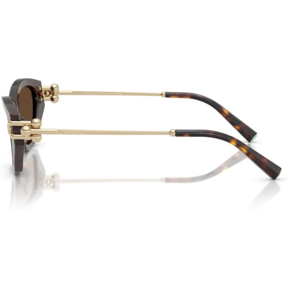 TIFFANY 0TF4231U Ladies Eyewear, Havana (80153G), Size: 53